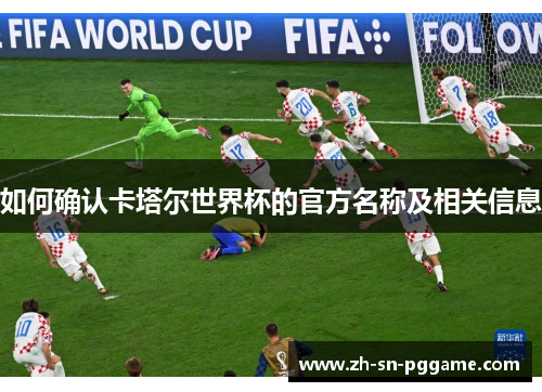 如何确认卡塔尔世界杯的官方名称及相关信息