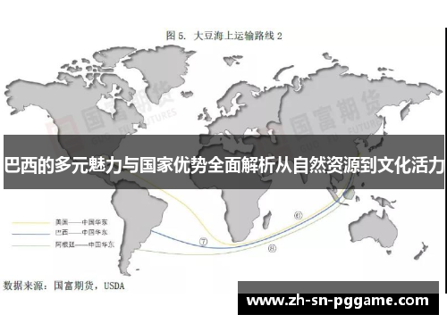 巴西的多元魅力与国家优势全面解析从自然资源到文化活力