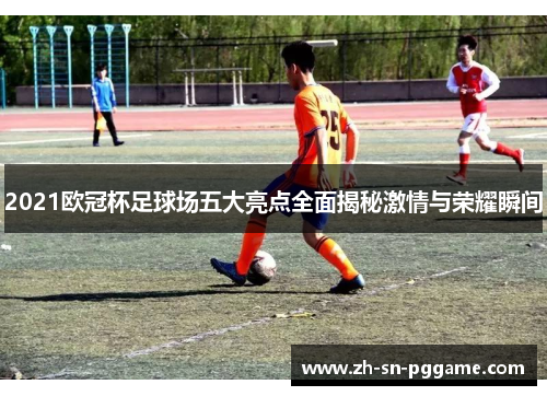 2021欧冠杯足球场五大亮点全面揭秘激情与荣耀瞬间