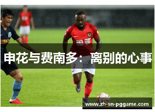 申花与费南多：离别的心事