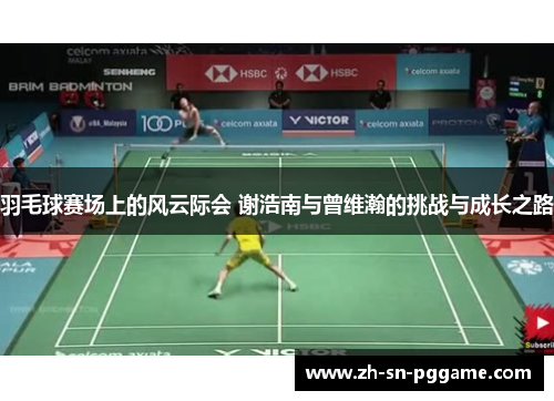羽毛球赛场上的风云际会 谢浩南与曾维瀚的挑战与成长之路