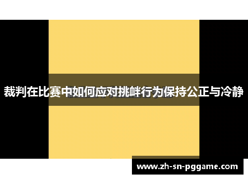 裁判在比赛中如何应对挑衅行为保持公正与冷静