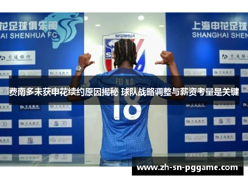 费南多未获申花续约原因揭秘 球队战略调整与薪资考量是关键