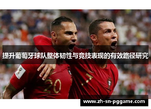 提升葡萄牙球队整体韧性与竞技表现的有效路径研究