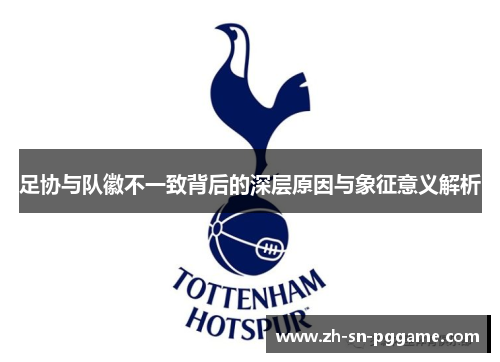 足协与队徽不一致背后的深层原因与象征意义解析