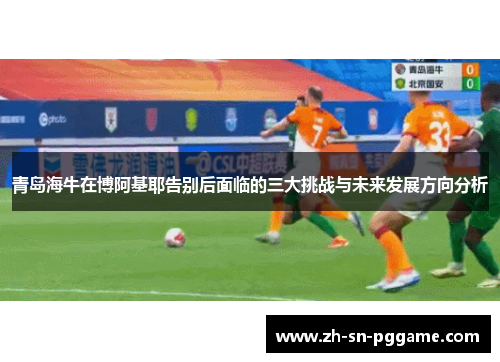 青岛海牛在博阿基耶告别后面临的三大挑战与未来发展方向分析 青岛海牛在博阿基耶告别后面临的三大挑战与未来发展方向分析