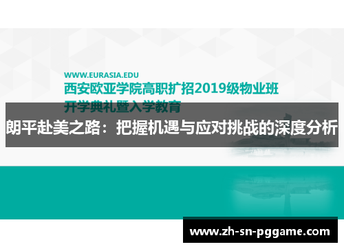朗平赴美之路：把握机遇与应对挑战的深度分析