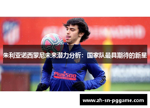 朱利亚诺西蒙尼未来潜力分析：国家队最具期待的新星