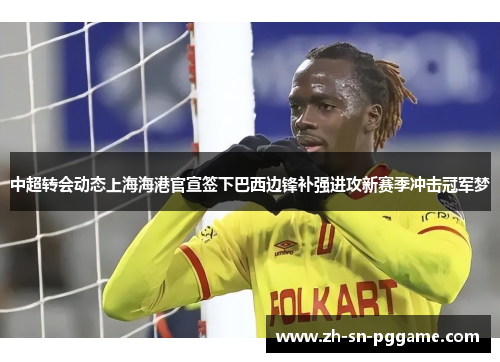 中超转会动态上海海港官宣签下巴西边锋补强进攻新赛季冲击冠军梦